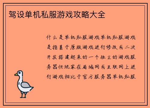 驾设单机私服游戏攻略大全